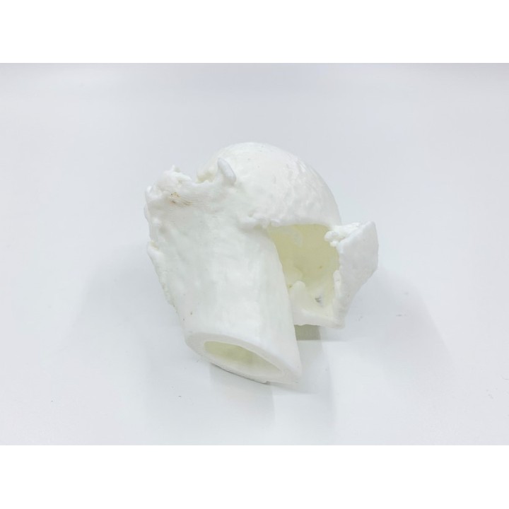 Flashforge Creator 3